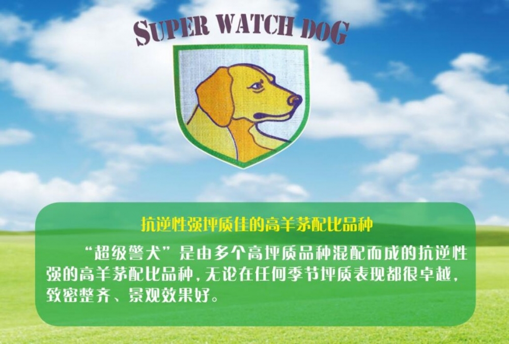 超级警犬